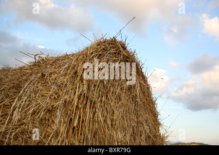Close-up of a hay sous caution contre le ciel bleu et nuages Banque D'Images