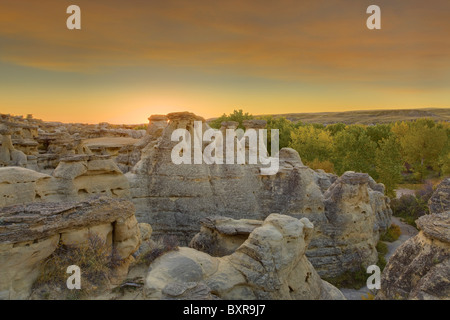 Cheminées au lever du soleil, Writing-on-Stone Provincial Park, Alberta, Canada Banque D'Images