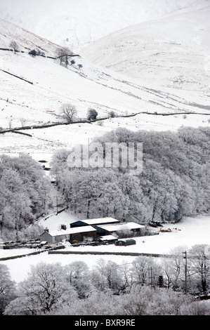 Givre lourd après congélation brouillard dans la vallée de la Lune près de Tebay. Banque D'Images
