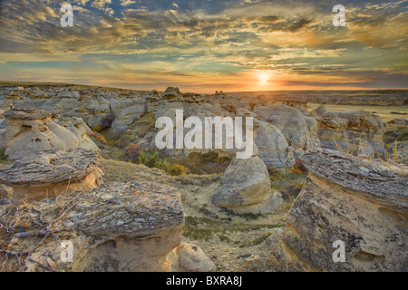 Cheminées au lever du soleil, Writing-on-Stone Provincial Park, Alberta, Canada Banque D'Images