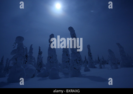 Paysage de neige la nuit avec Pleine lune sur le parc national de Riisitunturi, Finlande Banque D'Images