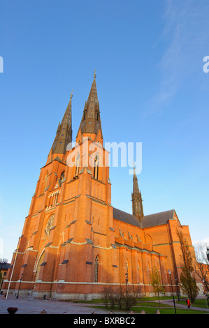 Grande cathédrale européenne avec deux flèches, brillants dans le soleil du soir sous un ciel bleu. Banque D'Images