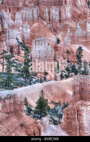 HDR ou high dynamic range image de pins et coloré les murs de canyon à Bryce Canyon National Park, Utah Banque D'Images