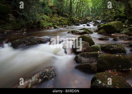 Une rivière qui coule à travers vert, les roches de granit couvert de mousse, tourné avec une longue exposition à Dartmoor Banque D'Images