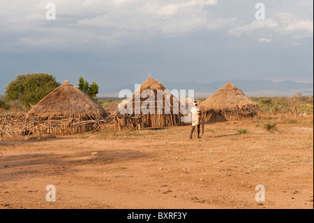Hamar, village de la vallée de la rivière Omo, dans le sud de l'Éthiopie Afrique Banque D'Images