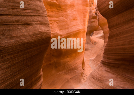 Tourbillonnant, formes érodées dans les étroites limites de grès rouge, Peekaboo Canyon Banque D'Images