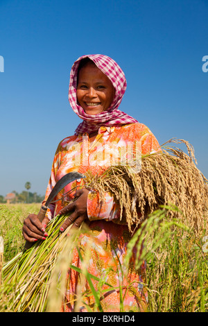 Smiling female farmer khmère de la récolte du riz avec une faucille - province de Takeo, au Cambodge Banque D'Images