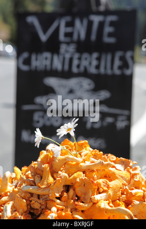 Chanterelles en vente sur une route de montagne face à Verbier, Suisse Banque D'Images