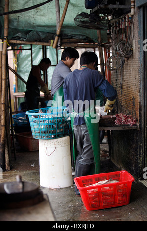 Les travailleurs locaux et échelle de poissons directement de l'intestin sur marché Av de Demetrio Cinatti, Macao Banque D'Images