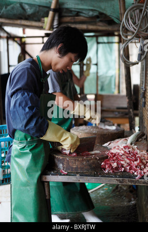 Les travailleurs locaux et échelle de poissons directement de l'intestin sur marché Av de Demetrio Cinatti, Macao Banque D'Images