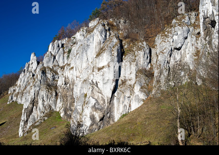 Parc National Ojcow, Pologne Banque D'Images