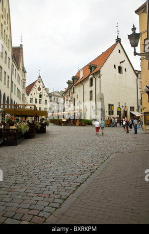 États baltes, l'Estonie, Tallinn, Vieille Ville, Vue de la rue pavée avec restaurant Olde Hansa en arrière-plan Banque D'Images