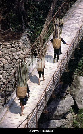 Les femmes des minorités Hmong noir la collecte du bois. Près de Sapa, province de Lao Cai, au nord du Vietnam. Banque D'Images