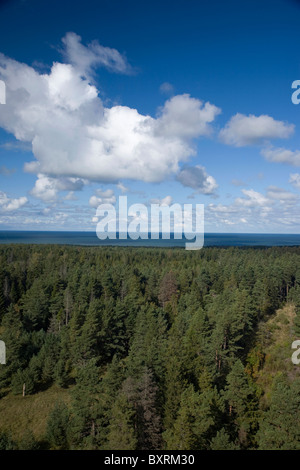 L'Europe de l'Est, Pays Baltes, l'Estonie, l'île d'Hiiumaa, Kopu, vue sur la mer Baltique et de la forêt Banque D'Images