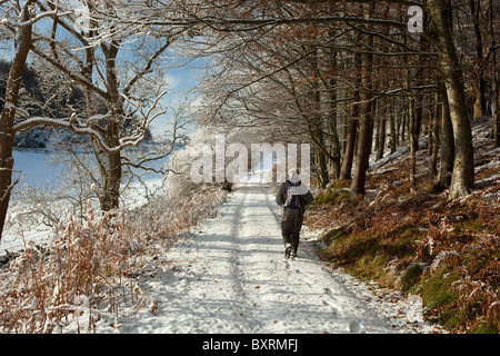 Scenic winter walking dans la neige le long d'une ancienne piste de karting au bord de la colline du château de bois, près de maison Almorness Galloway Ecosse Banque D'Images