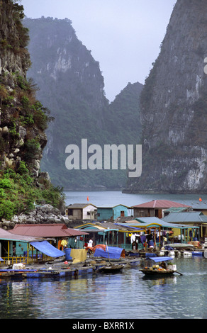 Village flottant, Halong Bay, Vietnam. Banque D'Images