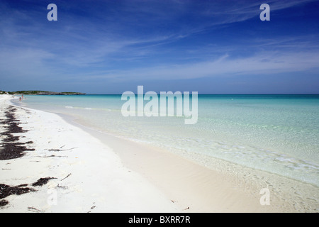 République de Cuba, le Jardines del Rey (Jardins du Roi), archipel de l'île de Cayo Coco, Playa Pilar, vue sur plage de sable Banque D'Images