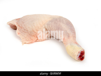 Cuisse de poulet d'articulation sur fond blanc Banque D'Images