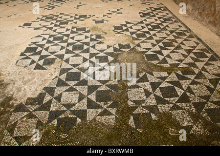 Parquet mosaïque, Parco Archeologico di Vulci, lazio, Italie Banque D'Images