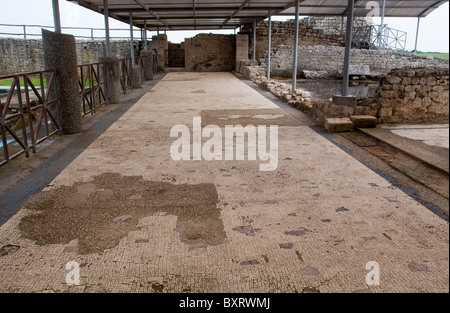 Parquet mosaïque, Parco Archeologico di Vulci, lazio, Italie Banque D'Images