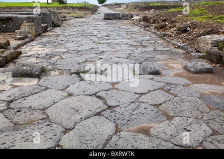 Voie romaine, Parco Archeologico di Vulci, lazio, Italie Banque D'Images