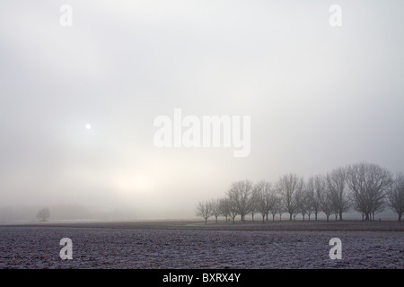 Le soleil apparaissant à travers la brume d'un matin glacial sur les terres agricoles en bordure de la rivière Dordogne.à Peyrillac-et-Millac Banque D'Images