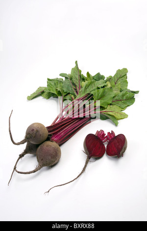 Radis noir sur fond blanc Banque D'Images