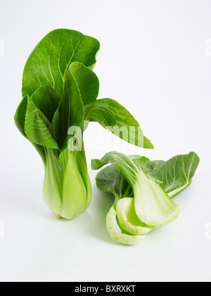 Le bok choy avec feuille séparés sur fond blanc Banque D'Images