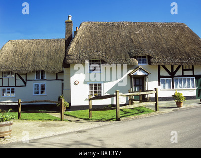 East Meon Hampshire England UK L'un des cottages blancs de chaume dans ce village pittoresque Banque D'Images