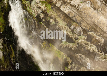 Cascade de congélation au St Catherine's Tor près de Hartland Quay, Devon, Angleterre, Royaume-Uni Banque D'Images