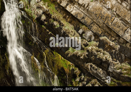 Cascade de congélation au St Catherine's Tor près de Hartland Quay, Devon, Angleterre, Royaume-Uni Banque D'Images