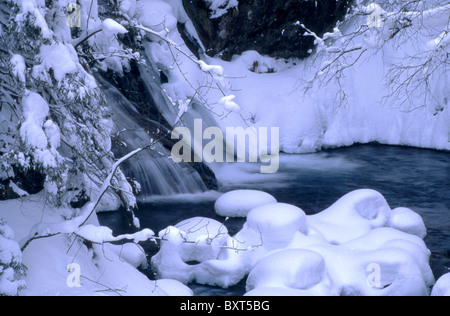 Wodogrzmoty Mickiewicza - le complexe de cascades dans les Tatras, Pologne Banque D'Images