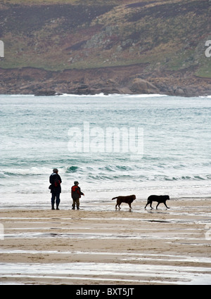 Des chiens a marché sur la plage de Sennen à Cornwall. Banque D'Images