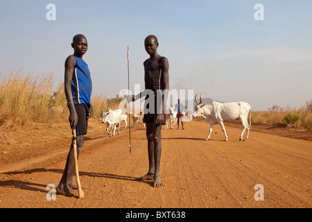 MUNDRI EST DU COMTÉ, DANS LE SUD DU SOUDAN, Décembre 2010 : des éleveurs de la tribu Mundri faire paître leur bétail. Banque D'Images