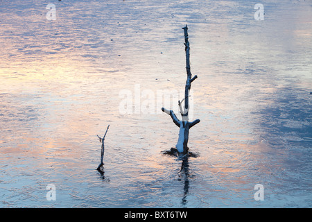 La rivière dans le lac Windermere totalement gelés pendant la vague de froid de décembre 2010. Banque D'Images