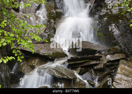 Cascades dans Seward Alaska Banque D'Images