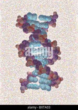 Photomosaïque d'une molécule d'ADN Banque D'Images