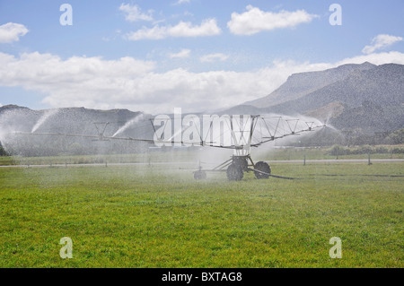 Dans le champ de l'eau, Motukarara sprinkleur, la péninsule de Banks, Canterbury, Nouvelle-Zélande Banque D'Images