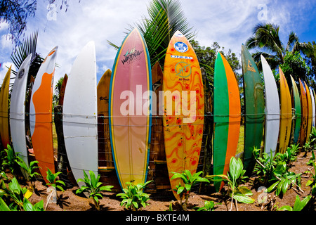 Une clôture de planches vintage coloré en Haiku, sur l'île de Maui, Hawaii qui a été vu sur 'l'incroyable course' avec un objectif fisheye Banque D'Images