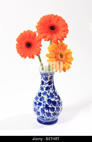 Vase de fleurs, Gerberas Banque D'Images