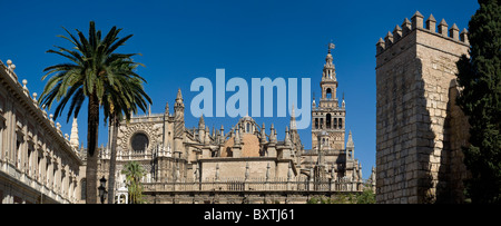 Espagne, Andalousie, Séville, la cathédrale et la Tour de Giiralda Banque D'Images