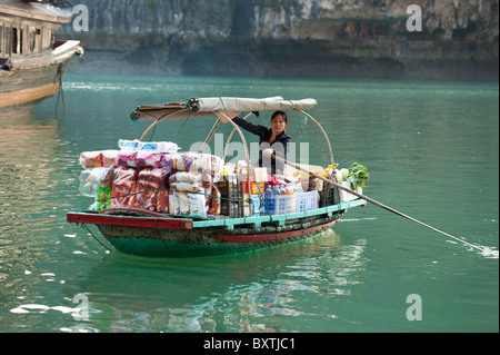 Boutique flottante dans un village flottant dans la baie d'Halong, Vietnam Banque D'Images