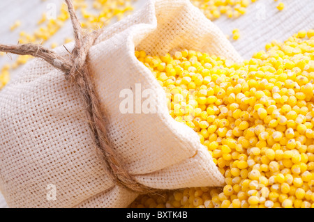 Petit sac Millet en matières premières Banque D'Images