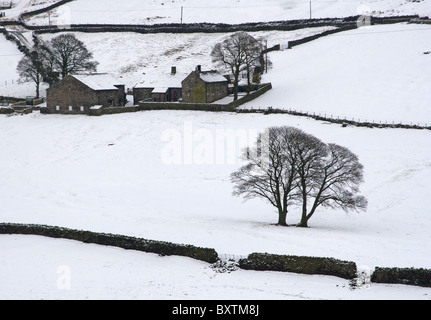 Ferme et des arbres dans la neige, Crimsworth Doyen, Pennines, au nord de Hebden Bridge, West Yorkshire, England, UK Banque D'Images