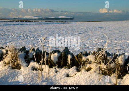 Plus de tête Dunnett champs couverts de neige près de Scarfskerry, Caithness, Ecosse, Royaume-Uni Banque D'Images