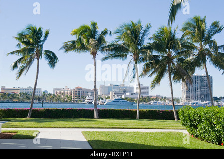 Whitehall construit 1902 par Henry Flagler Museum , Palm Beach , Floride , USA , vue sur le cabotage de jardins avec palmiers Banque D'Images