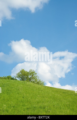 Grassy Hill un jour de printemps Banque D'Images