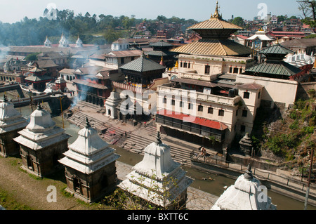 Vue sur le temple hindou de Pashupatinath à Katmandou, Népal Banque D'Images