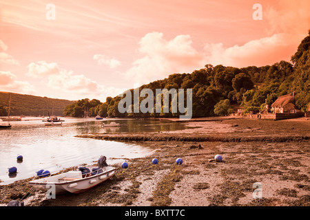 The River Dart avec thatched Cottage à Dittisham à Dawn, South Hams, Devon, Angleterre, Royaume-Uni Banque D'Images