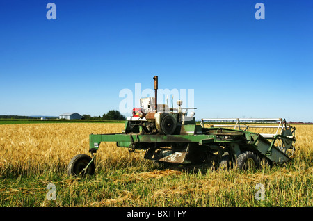 Beau paysage rural d'une vieille moissonneuse-batteuse rouillé est arrêté dans le champ d'orge mûrs à la mi-journée. Banque D'Images